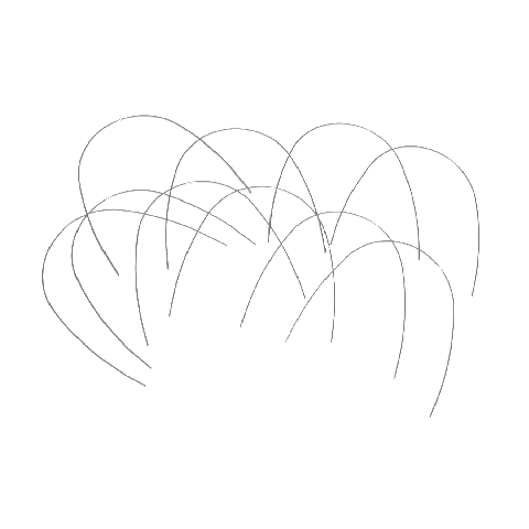 <b>10 PCS x</b> Super Elastic Nickel Titanium Archwires Natural Archform